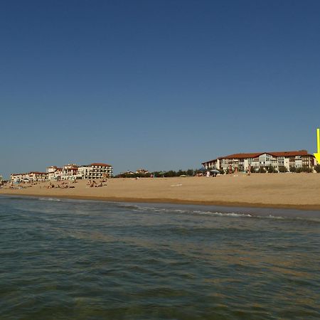 La Dune D'Or - Vue Mer, Studio Face A La Plage Avec Terrasse Soorts-Hossegor Eksteriør billede